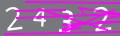 capsa